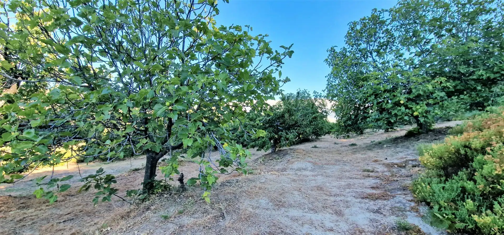 Terreni e lotti in vendita a Aldeanueva de la Vera, imagen 10