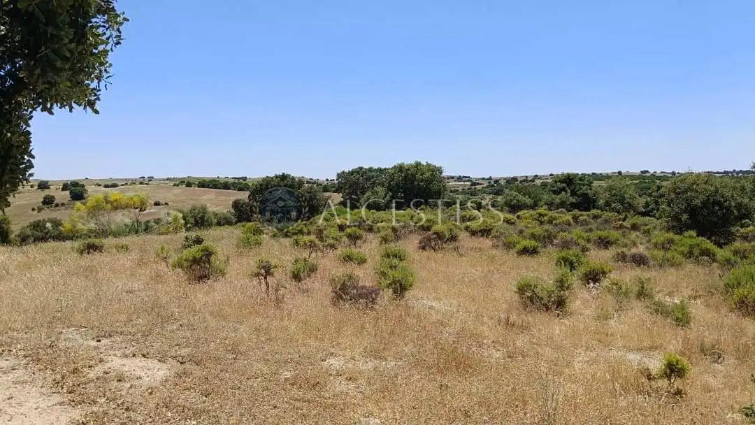 Terreno en venta en La Torre de Esteban Hambrán