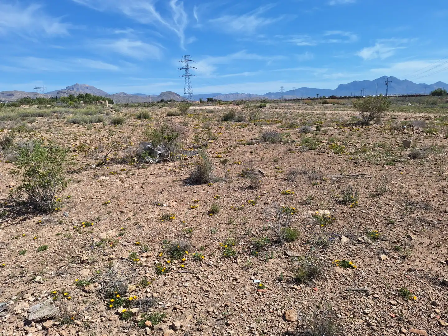 Rural land for sale in Los Girasoles, imagen 11