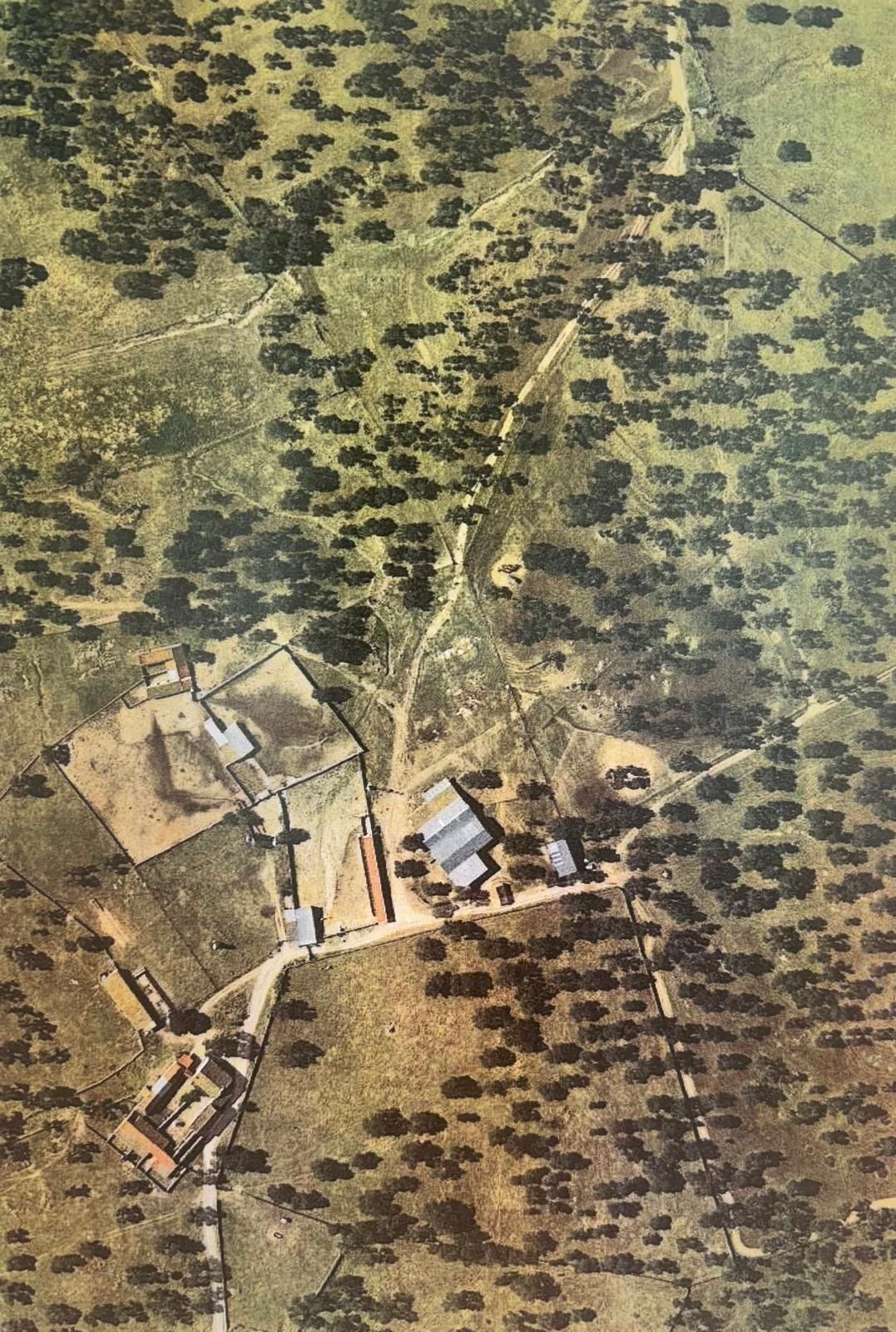 Land for sale in Pozoblanco