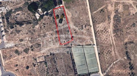 Foto 3 de Residencial en venda a Carretera de Almería, 222, Ejido Centro, El Ejido