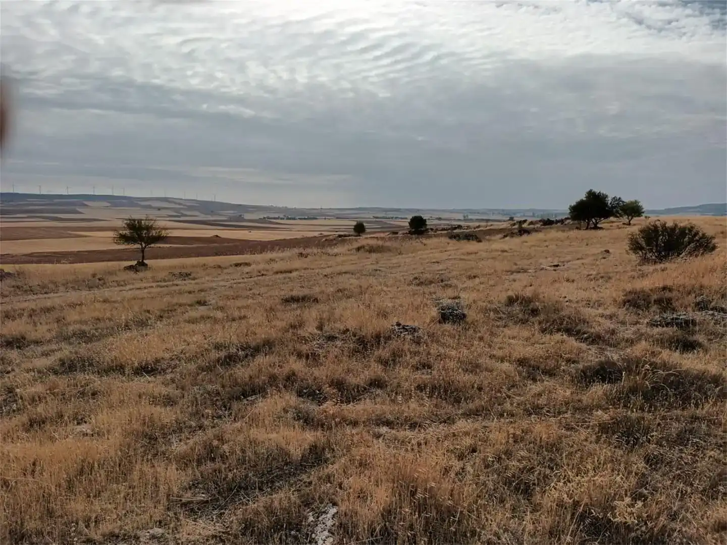 Terreno en venta en Uclés
