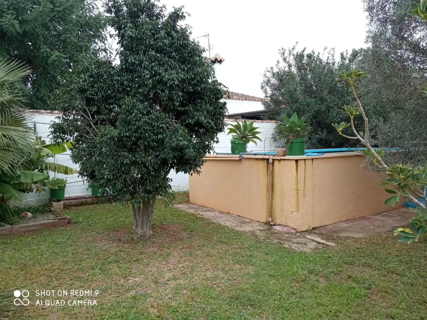 Jardí de Casa o xalet en venda en Chiclana de la Frontera amb Jardí privat, Terrassa i Traster