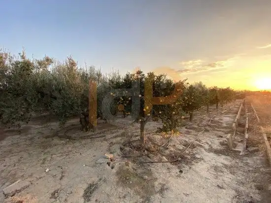 Terrenys i solars en venda a Huércal-Overa, imagen 17