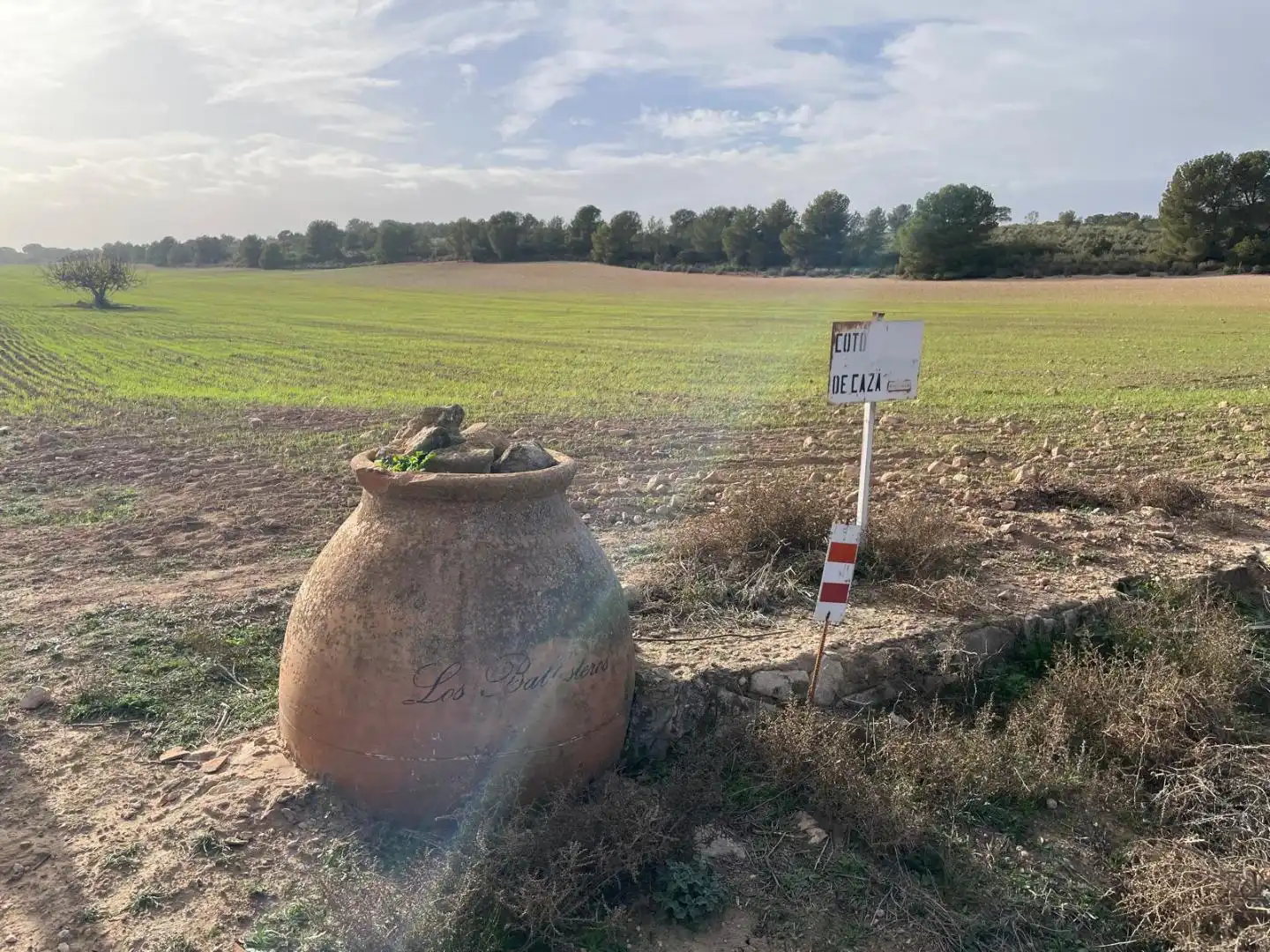 Terreni e lotti in vendita a La Milagrosa, imagen 2