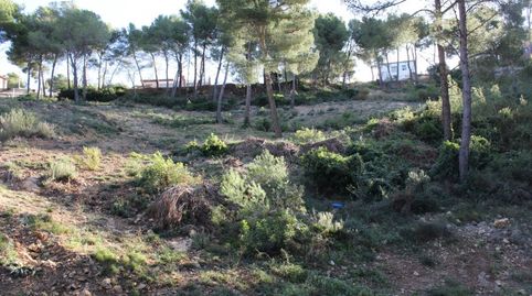 Parcela en Canyelles Les Palmeres, imatge 2