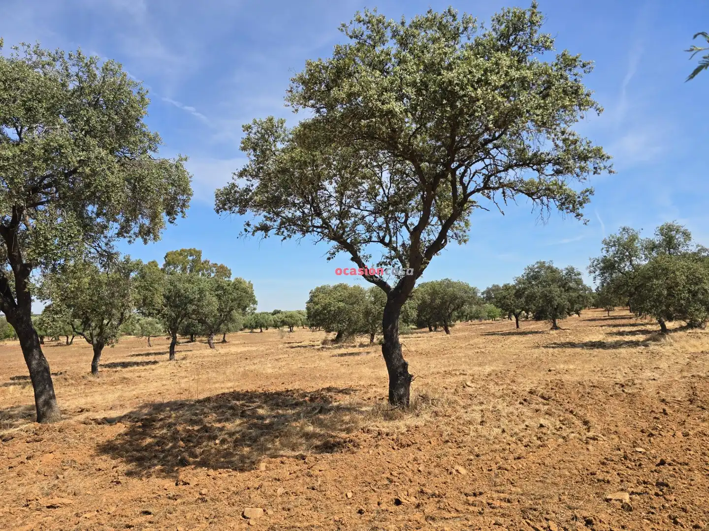 Casa o xalet en venda en Villanueva del Duque amb Jardí privat, Traster i Piscina