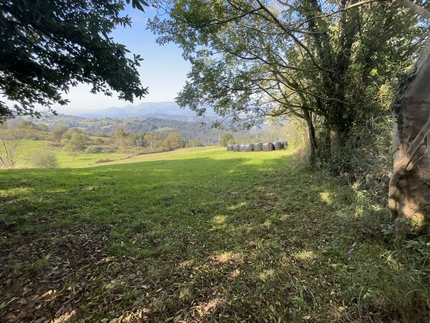 Terrenos y solares en venta en Parres, imagen 18