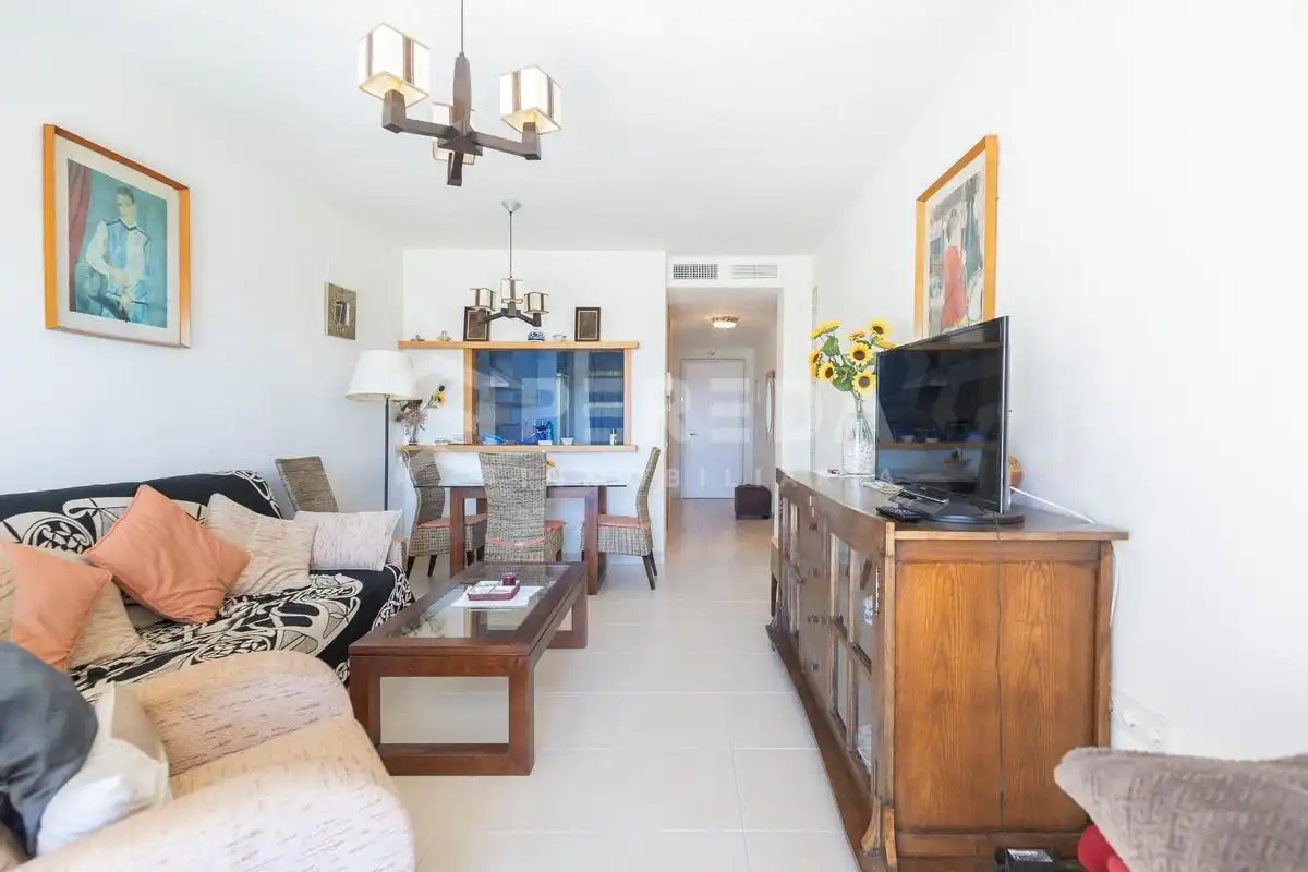 Living room of Flat for sale in Roquetas de Mar  with Air Conditioner, Terrace and Furnished