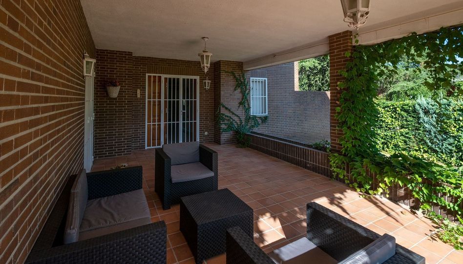 Estudio de alquiler en Raya del Palancar - Guadamonte - Imagen 4