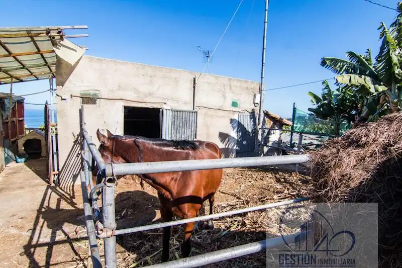 Vista exterior de Finca rústica en venta en Puerto de la Cruz