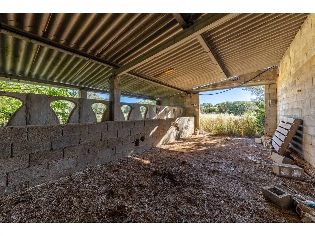 Terreno rustico in vendita a Llucmajor pueblo, imagen 71