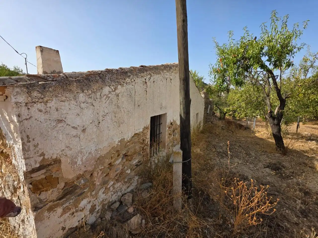 Finca rústica en venda en Bédar amb Jardí privat i Terrassa
