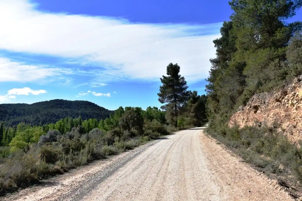 Terreny rústic en venda a La Fresneda, imagen 10