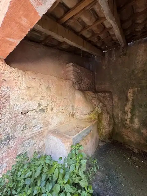 Casa o xalet en venda en Artà