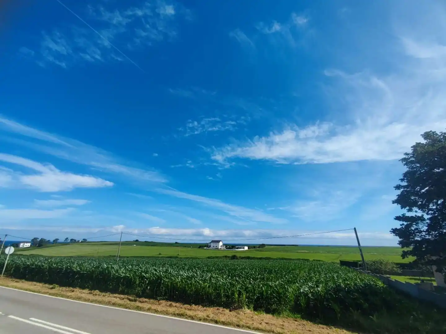 Wohnbaugrundstück zum Verkauf in Avenida de Asturias, imagen 2