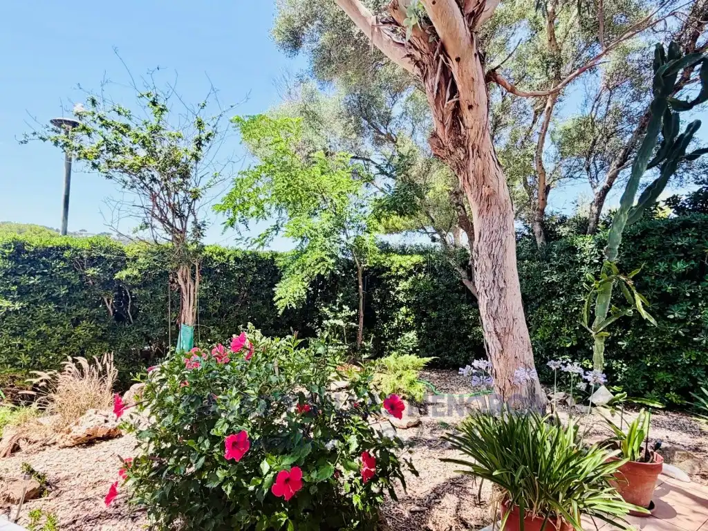 Jardí de Casa adosada en venda en Es Mercadal