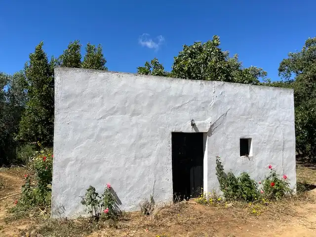 Vista exterior de Finca rústica en venta en Vejer de la Frontera