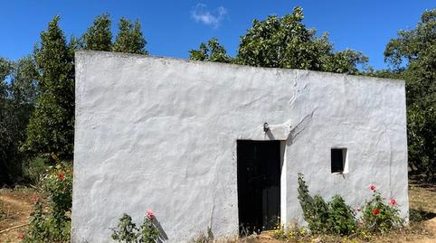 Foto 5 de Finca rústica en venda a Vejer, Cádiz