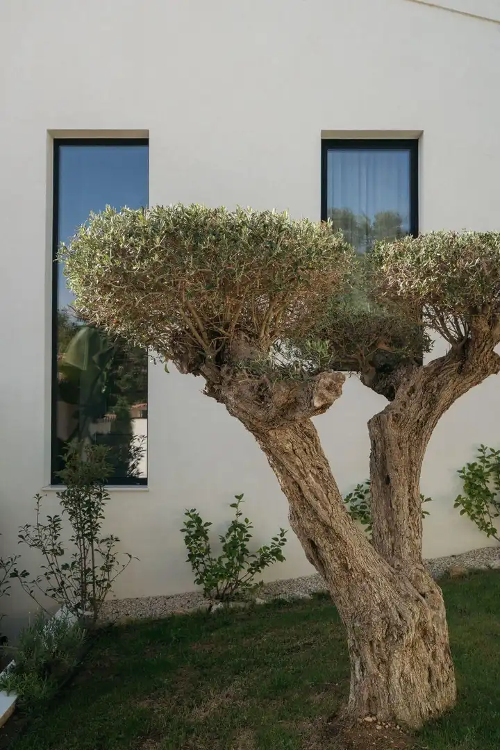 Xalet amb jardí en venda a Centro, imagen 28