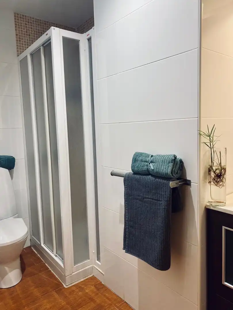 Bathroom of Apartments for rent in Alicante / Alacant  with Air Conditioner, Heating and Terrace