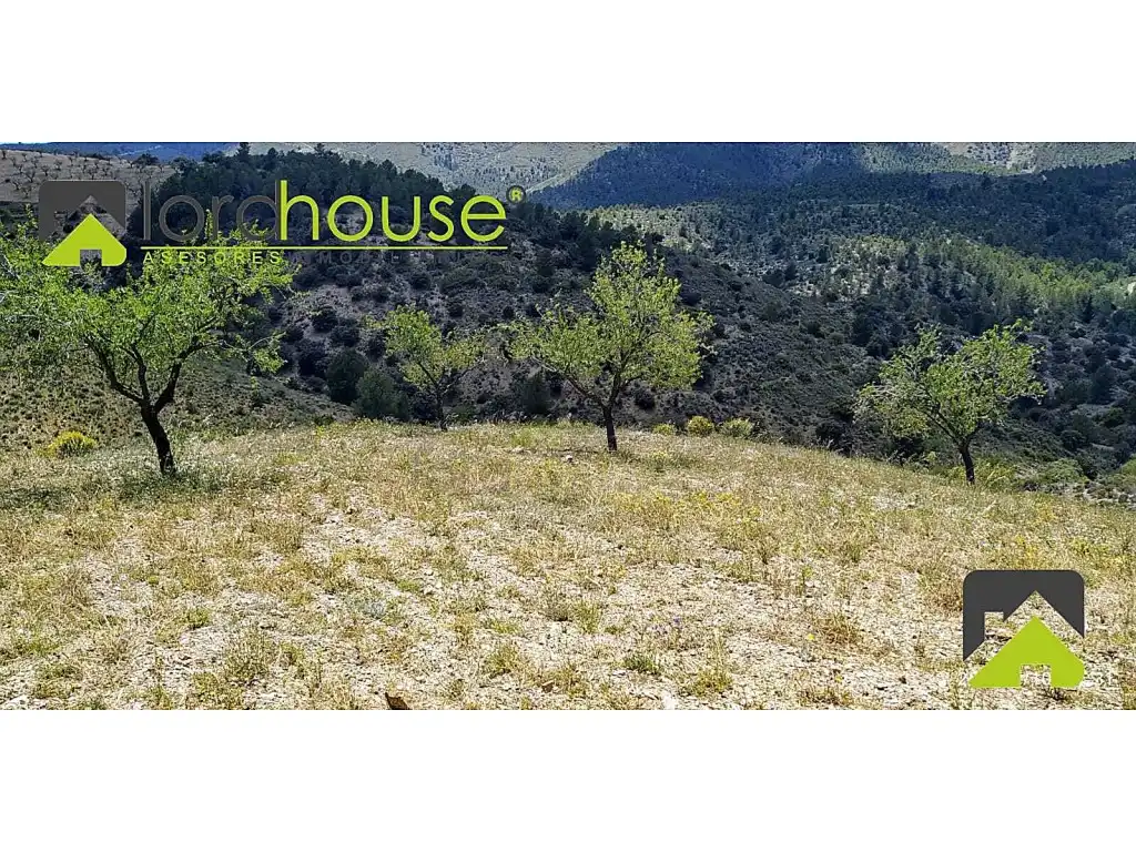 Finca rústica en venta en Lorca