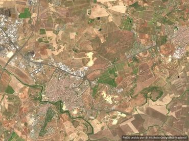 Xalet en venda a Nueva Alcalá