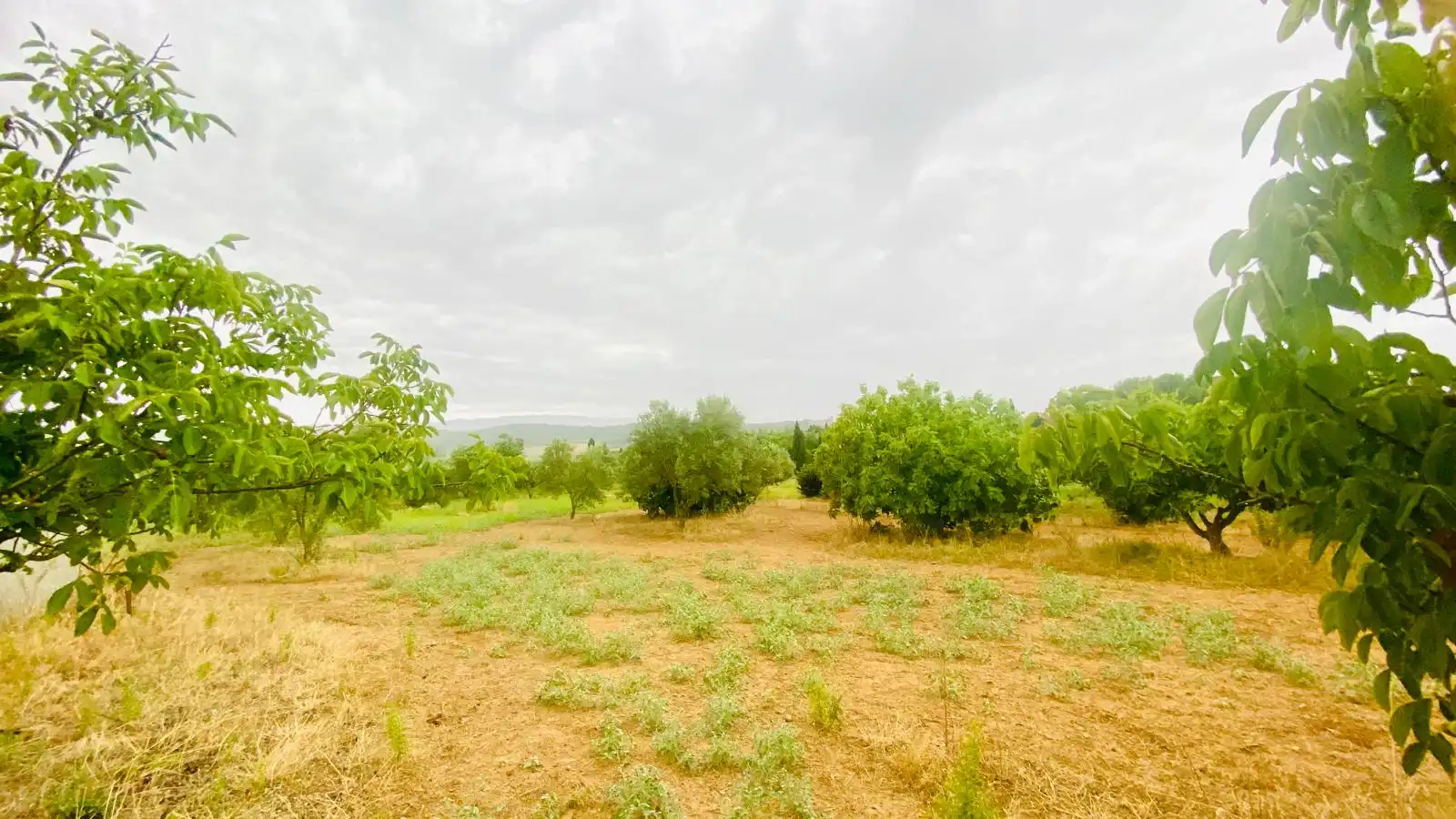 Terreny rústic en venda a La Bisbal d'Empordà, imagen 14