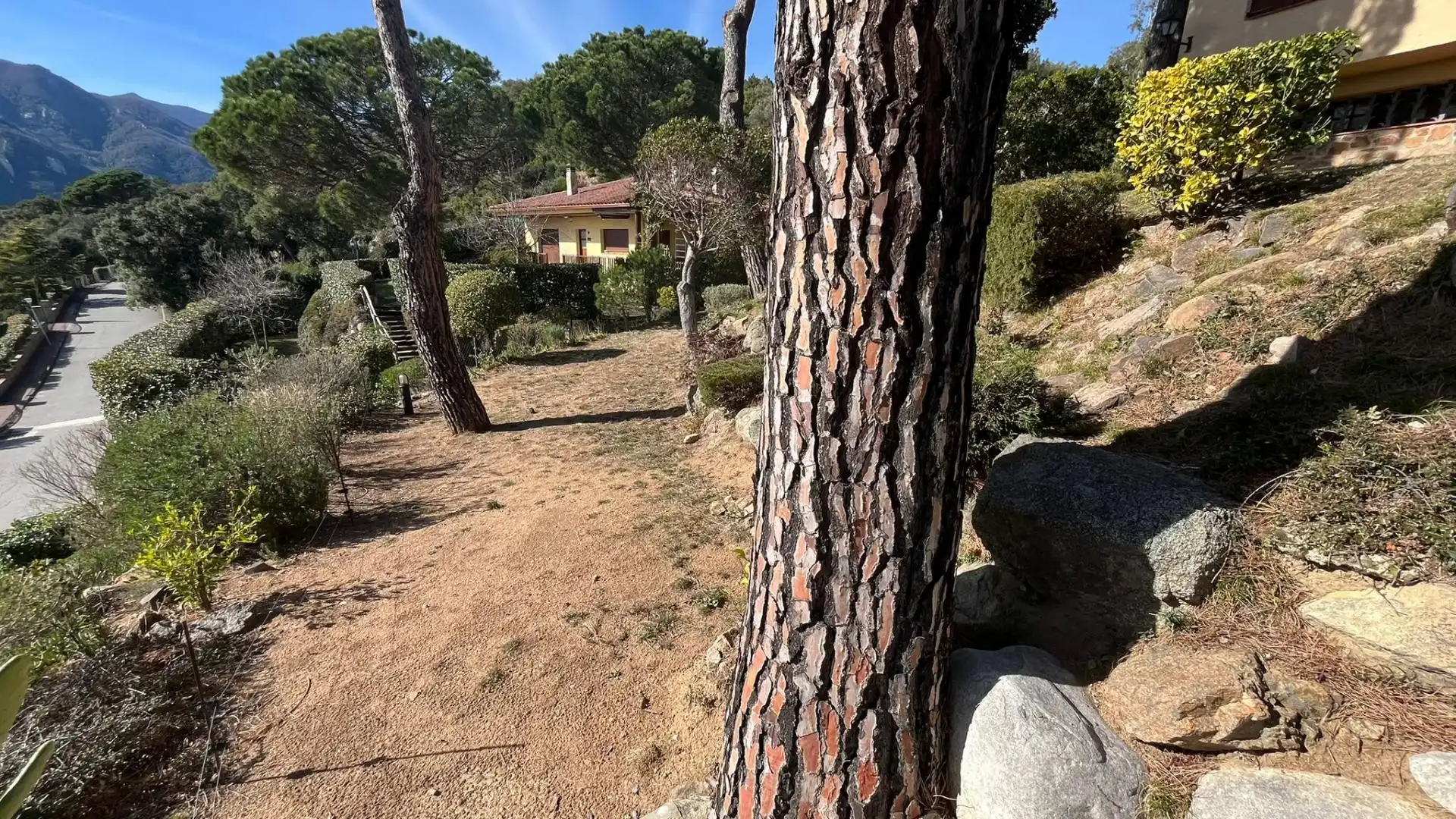 Jardí de Casa o xalet en venda en Arbúcies amb Calefacció i Jardí privat