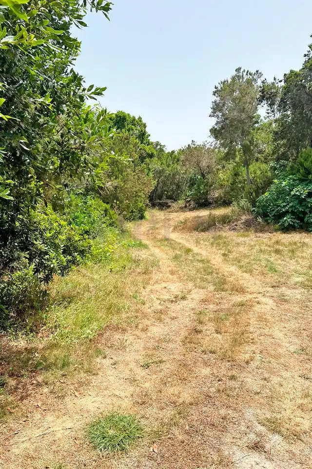 Terrenys i solars en venda a Calle de Rosa Vieja, imagen 4