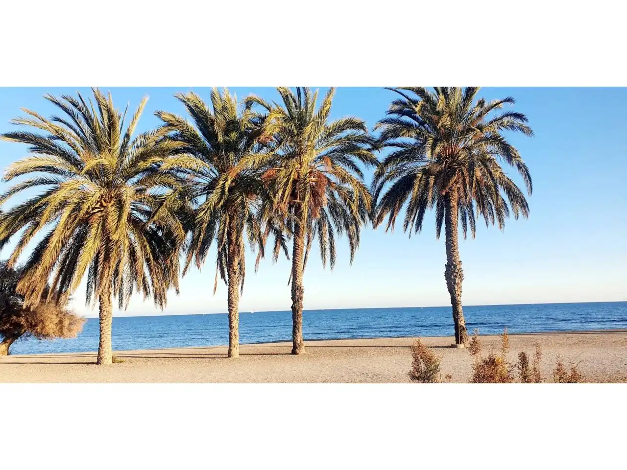 Exterior view of Houses for sale in Roquetas de Mar  with Air Conditioner, Heating and Private garden