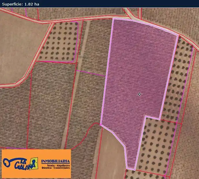 Rural land for sale in Valdepeñas, imagen 2