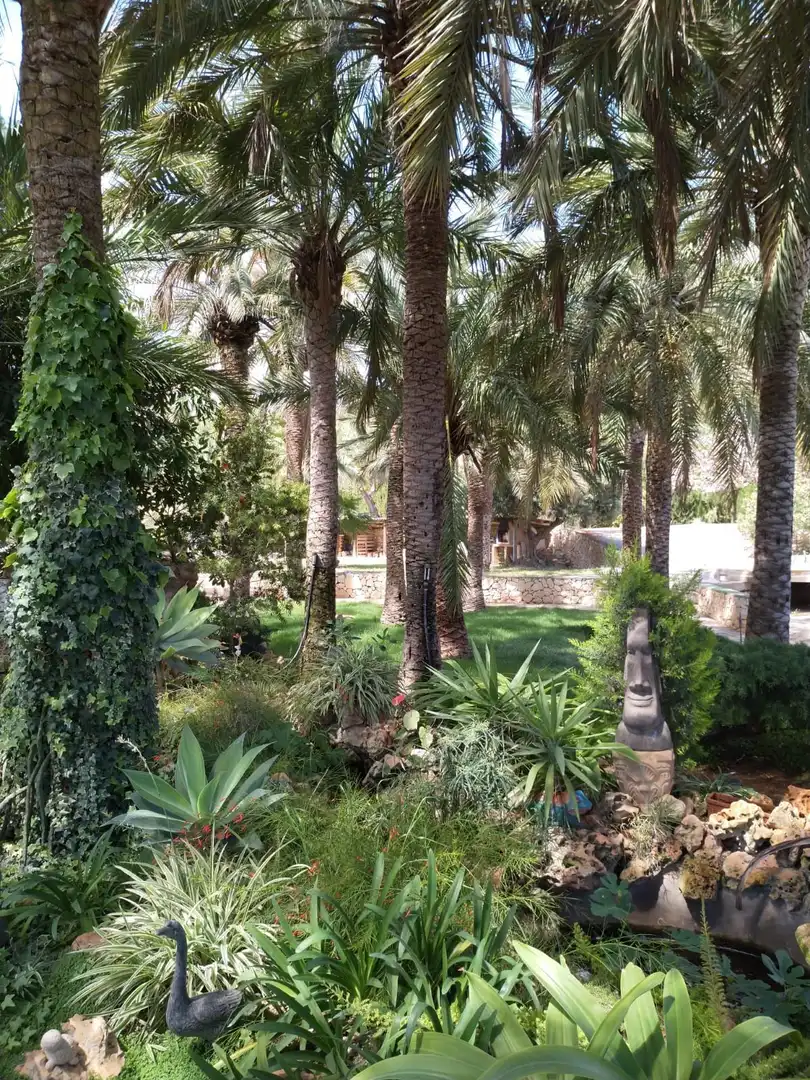 Jardí de Casa o xalet en venda en Calpe / Calp amb Aire condicionat, Jardí privat i Piscina