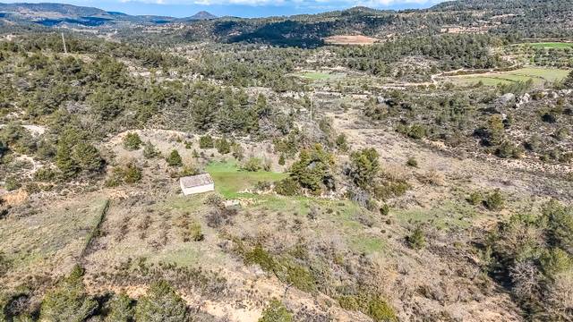 Finca rústica en Venta en Vinaixa