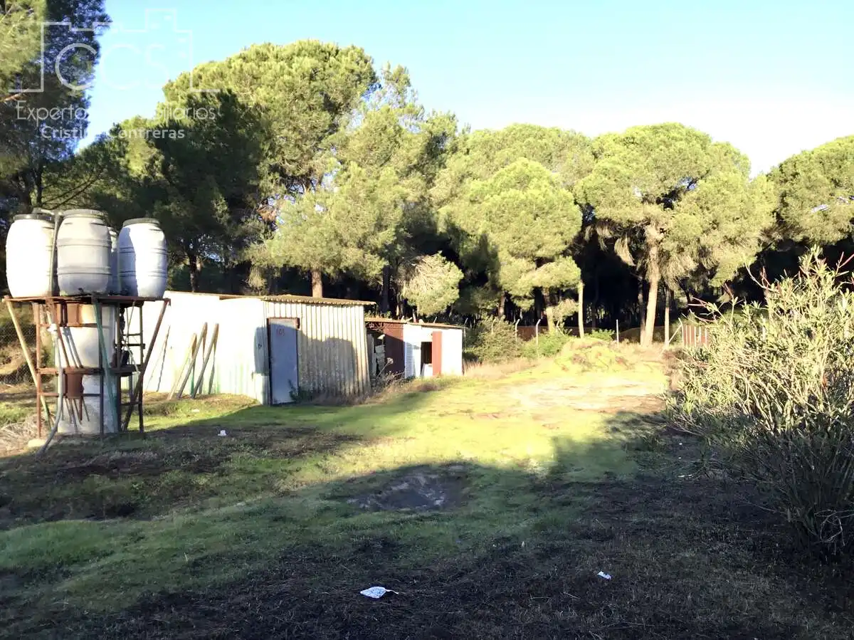 Casa rústica en venda a Almonte ciudad, imagen 16