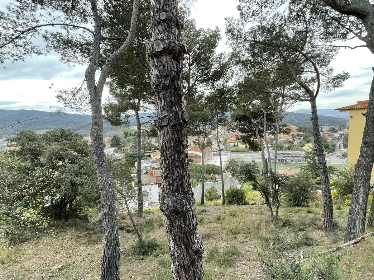 Terreno residencial en venta en Martorelles, imagen 6