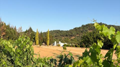 Foto 5 de Casa o chalet en venta en Constantina, Sevilla