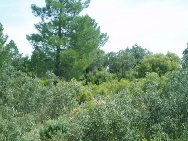 Terreni e lotti in vendita a Motilla del Palancar, imagen 11