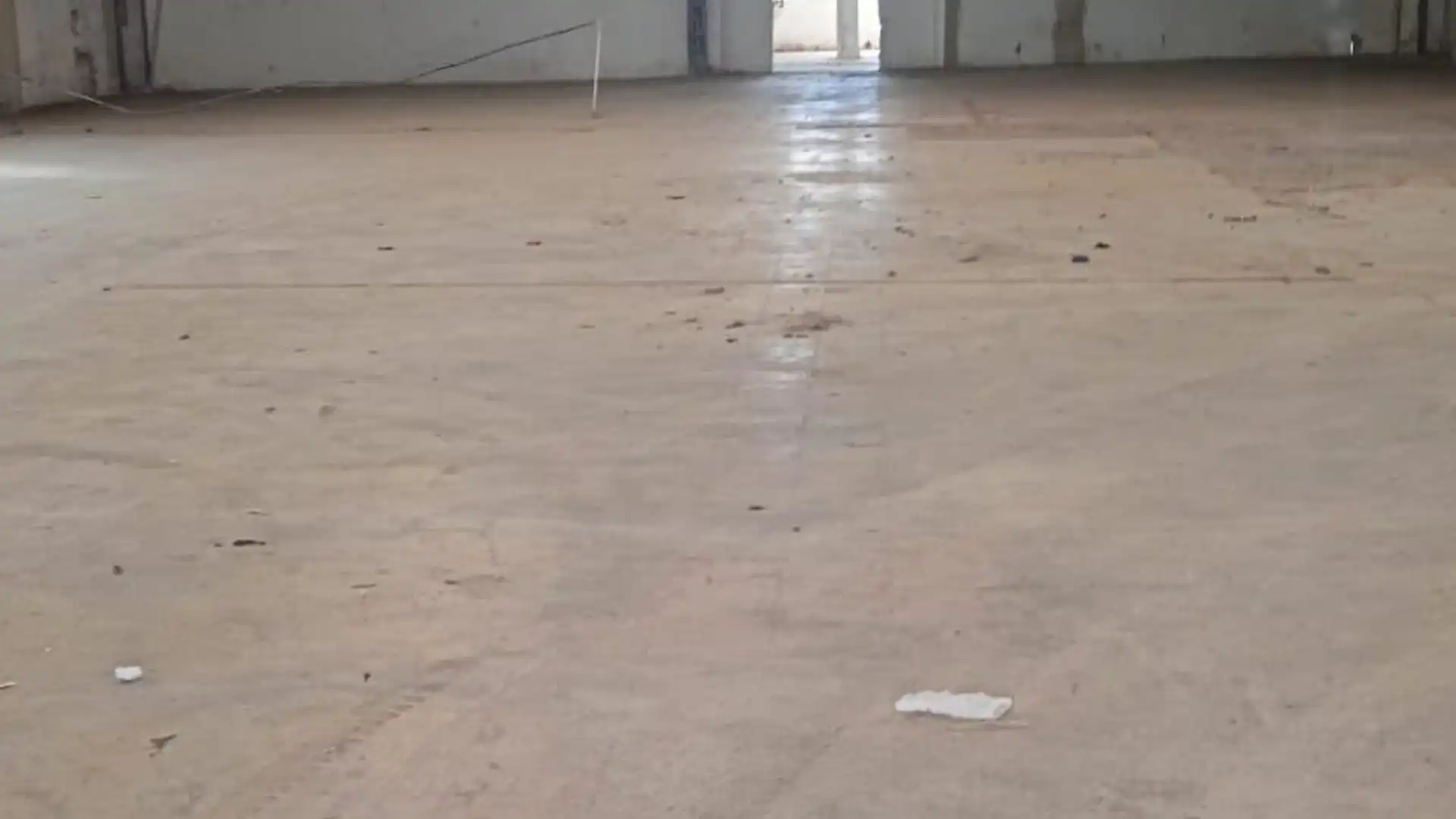 Industrial buildings for sale in Alcàsser