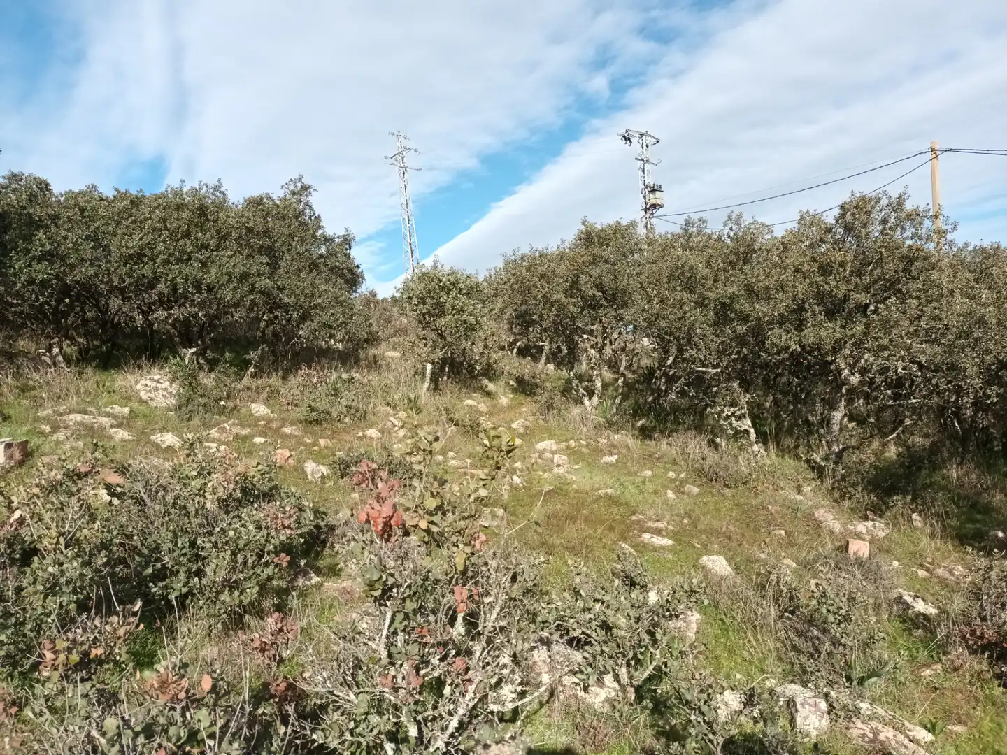 Terreny rústic en venda a Alcolea de Calatrava, imagen 5
