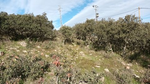 Foto 5 de Terreno en venta en Alcolea de Calatrava, Ciudad Real