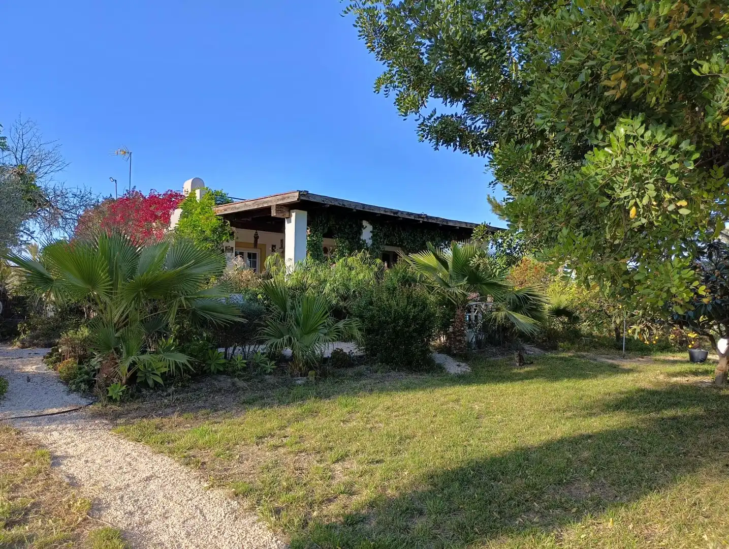 Jardí de Finca rústica en venda en Elche / Elx amb Aire condicionat, Calefacció i Jardí privat