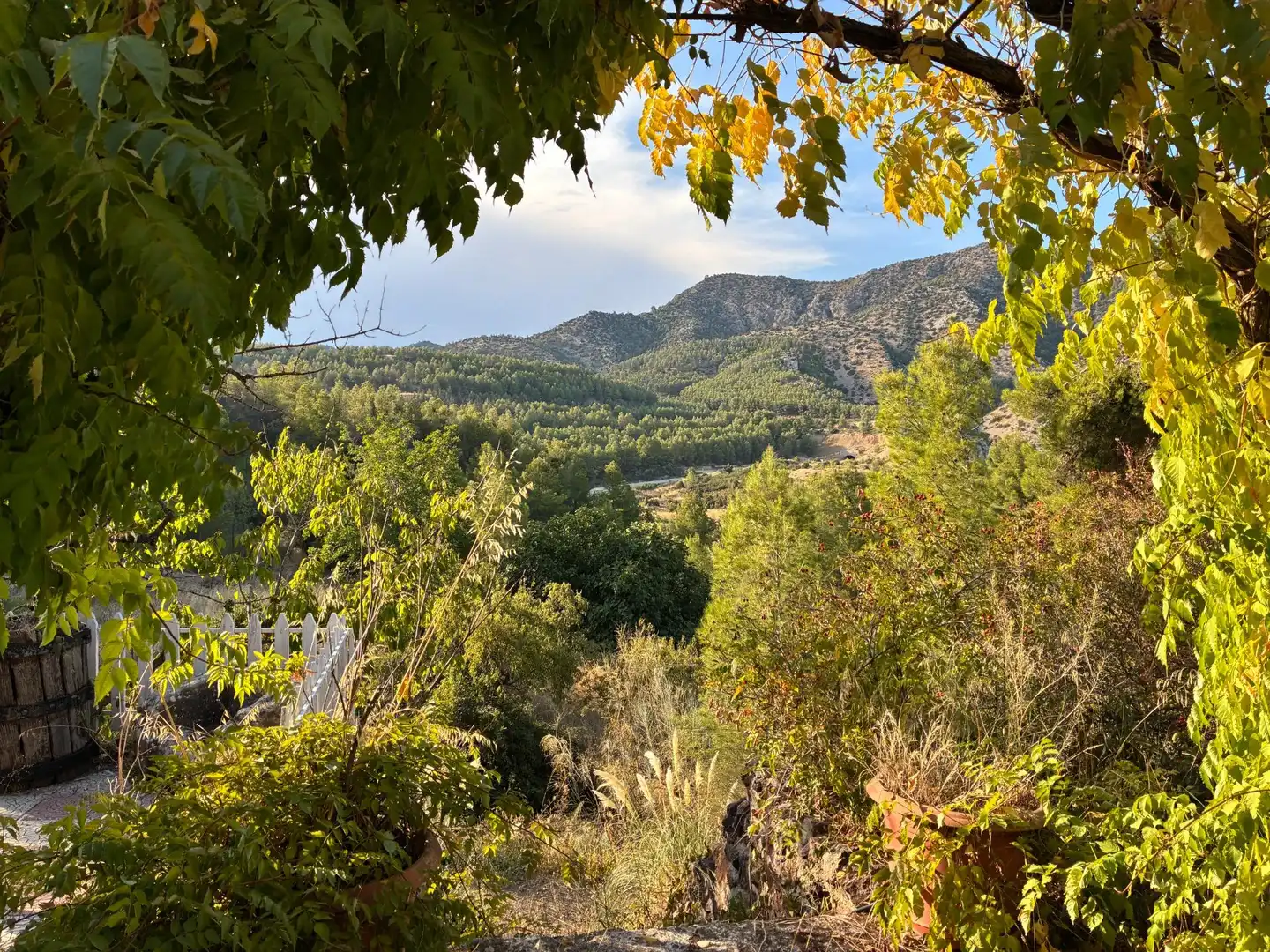 Exterior view of Houses for sale in Foz-calanda  with Private garden, Terrace and Swimming Pool