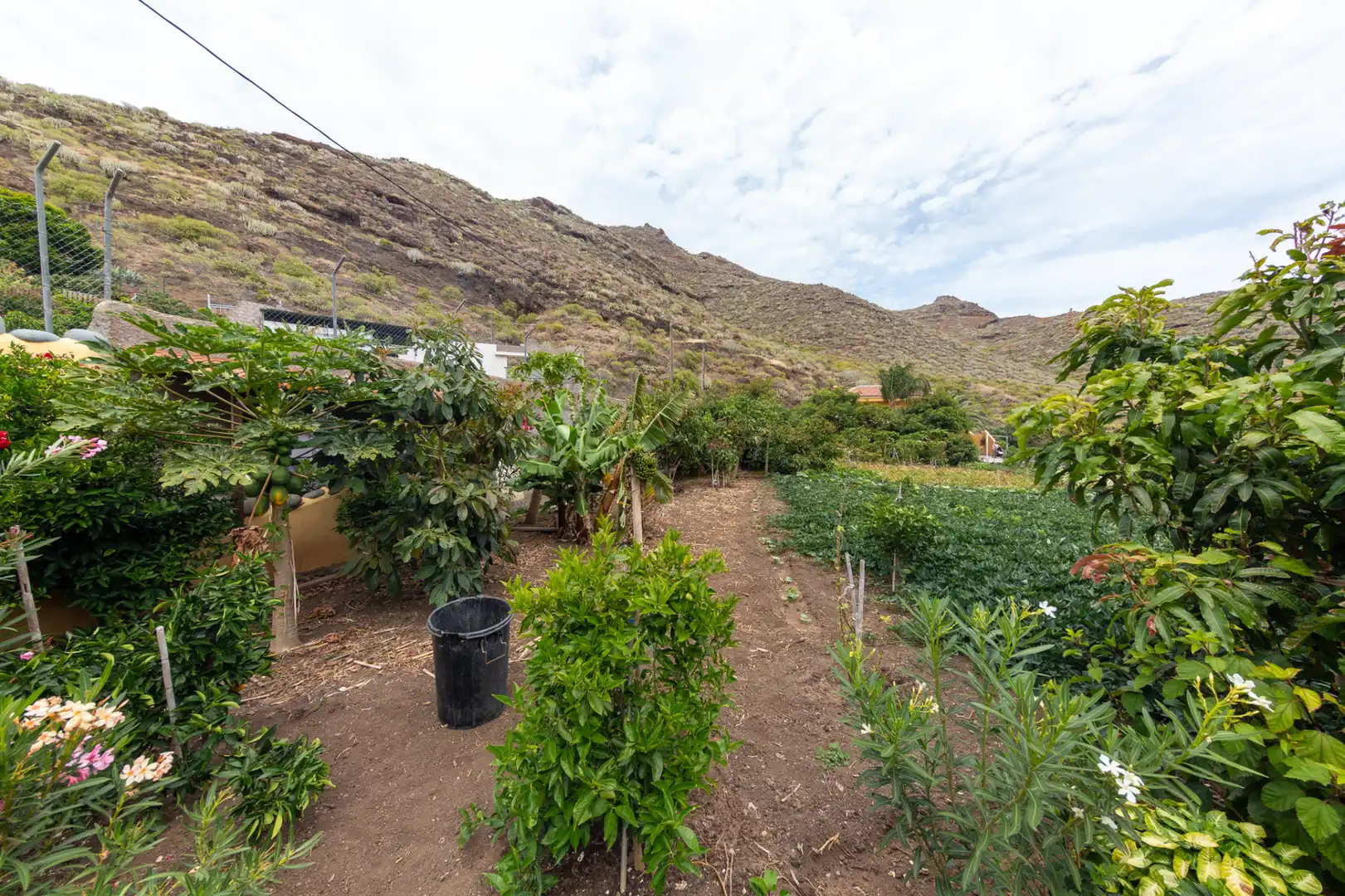 Garden of Country homes for sale in Santa Cruz de Tenerife  with Private garden, Terrace and Furnished