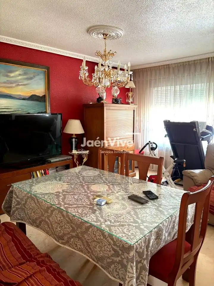 Sala d'estar de Pis en venda en Jaén amb Aire condicionat, Calefacció i Terrassa