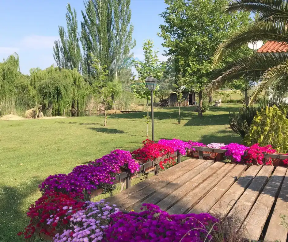 Jardí de Finca rústica en venda en Belvís de Monroy amb Aire condicionat, Jardí privat i Piscina