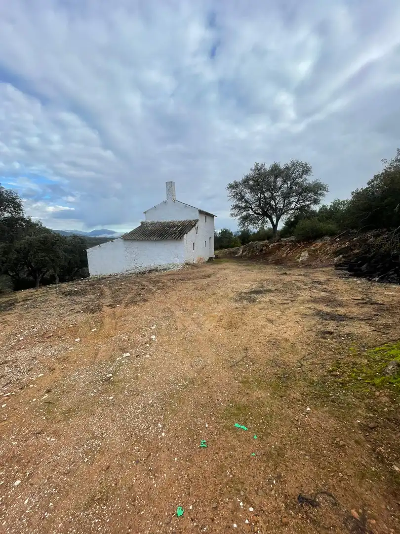 Terreno rustico in vendita a Urbanizacion el Elena S-7 6, imagen 14