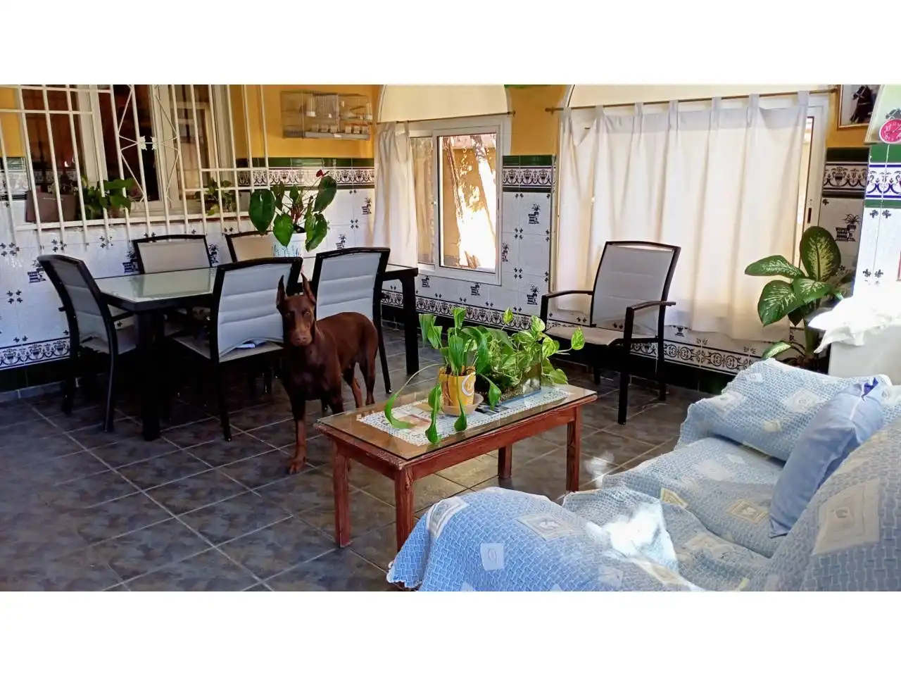 Jardín de Casa o chalet en venta en Roquetas de Mar con Aire acondicionado, Calefacción y Jardín privado