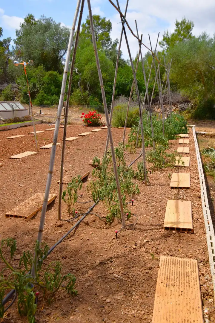 Finca rústica en venda a Petra