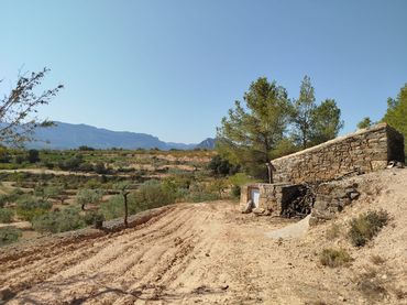 Terreny rústic en venda a Horta de Sant Joan